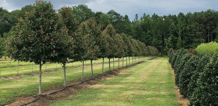 garden center bulk materials